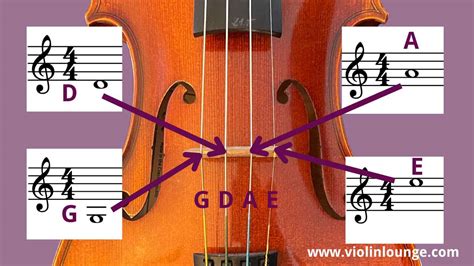 how to read violin sheet music: the art of visual storytelling in music