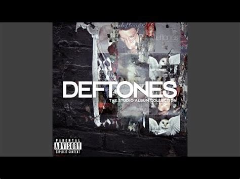 What Kind of Music Is Deftones and The Emotional Depths It Plumbs?